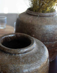 amalia pot - ii.