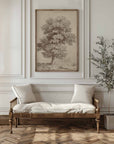 English Oak II