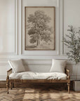 European Ash II