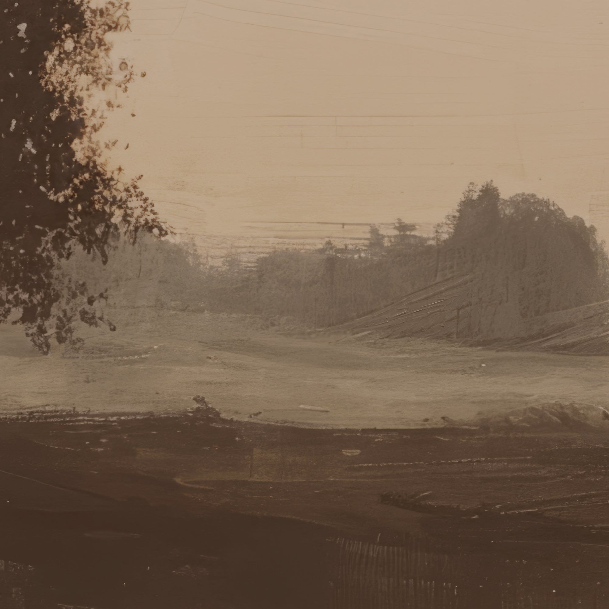 Dark Landscape Study