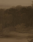 sepia-toned landscape with trees and a field