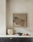 Nectarine Study