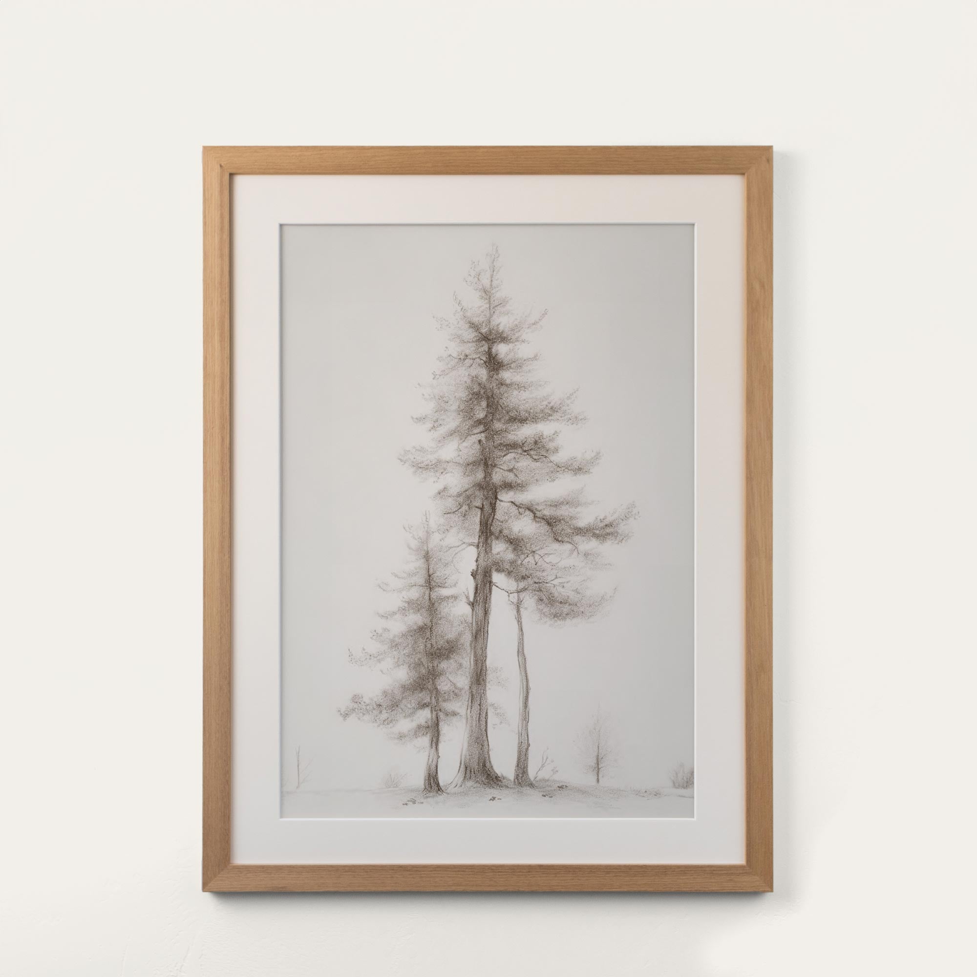 Pines Study II