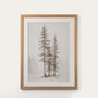 Pines Study I