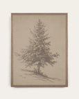 European Pine Study I
