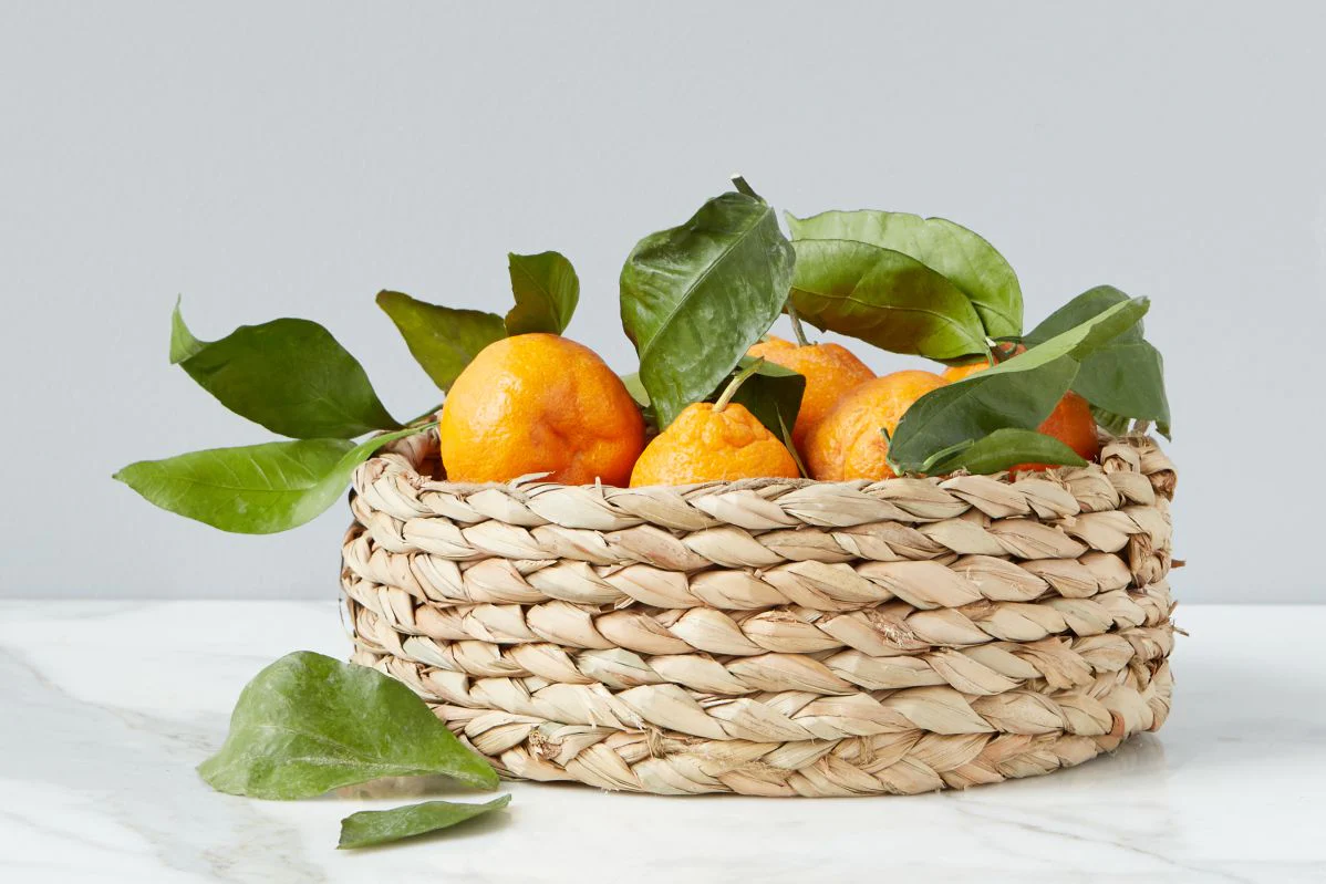 Kennedy Bread Basket