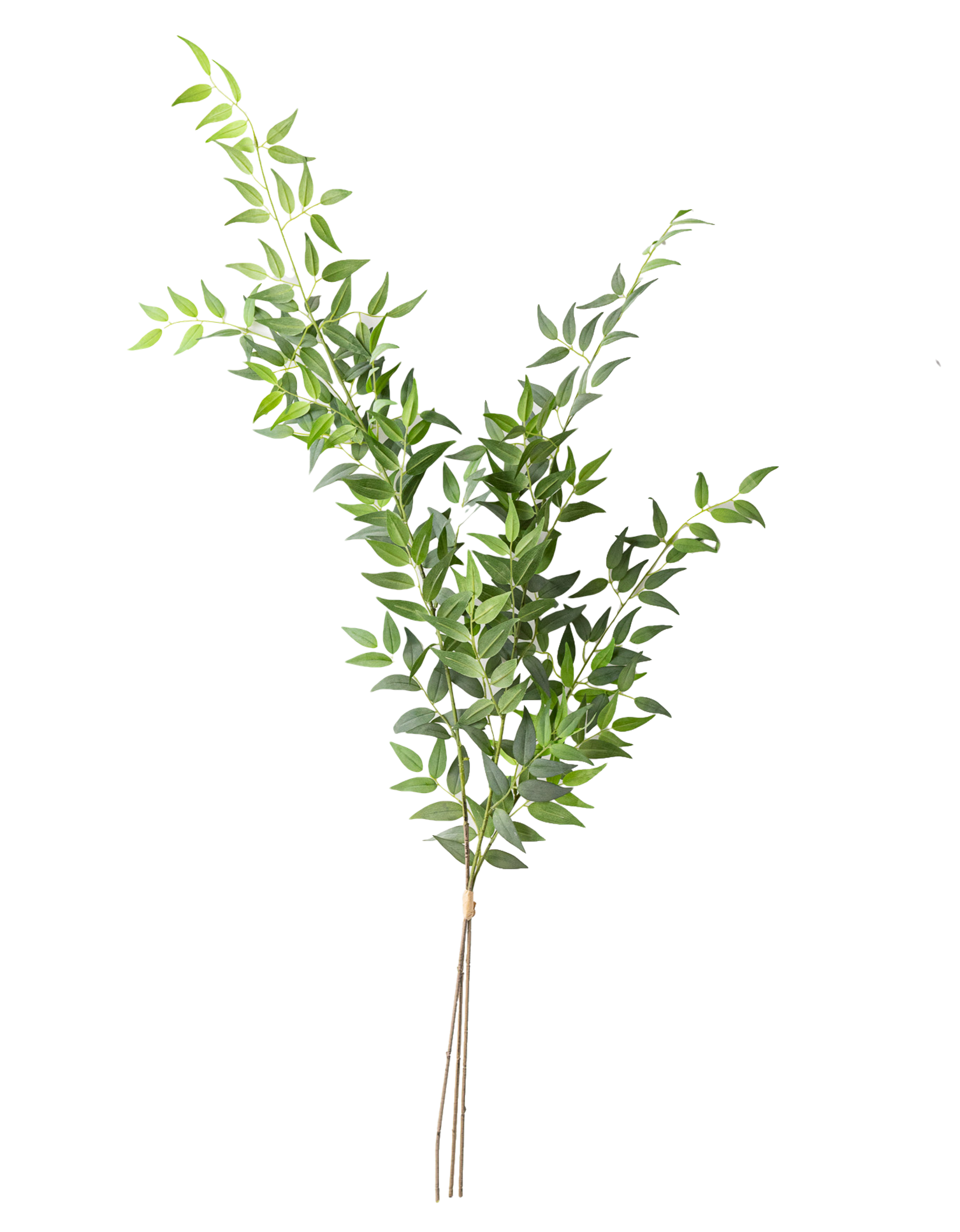 Faux Italian Ruscus Bundle