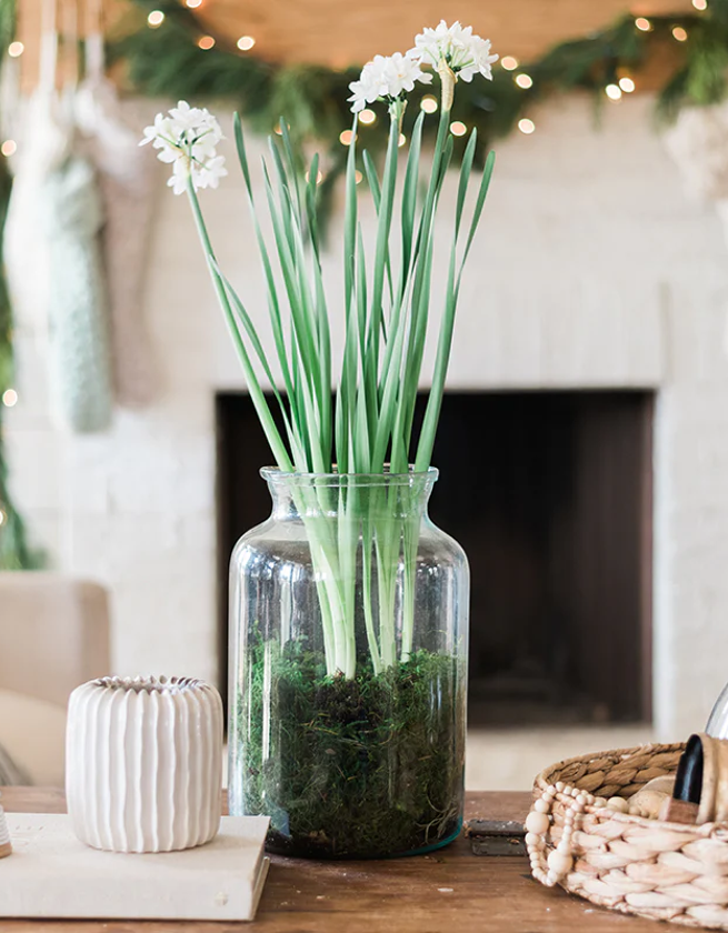 European Mason Jar, 10 Liters