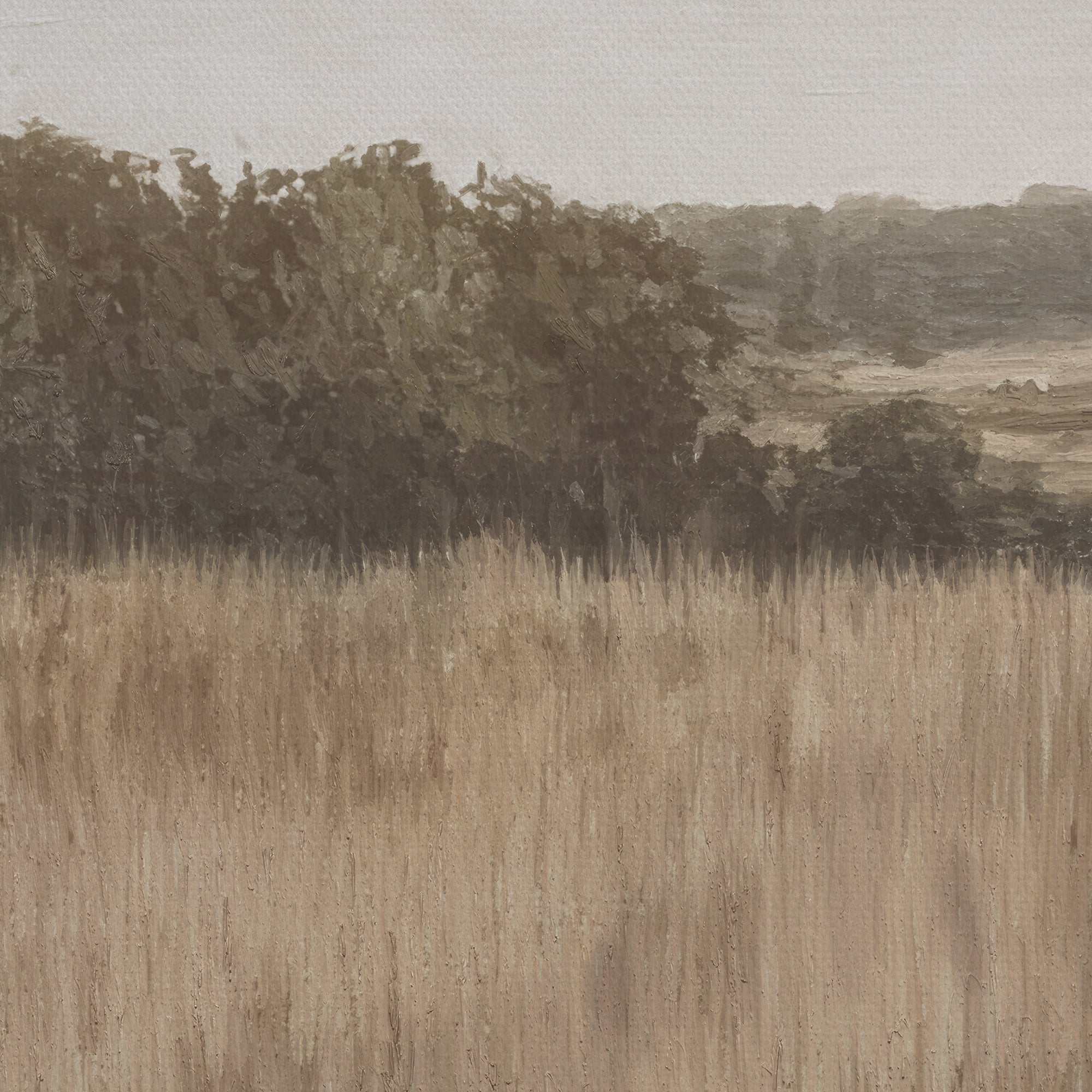 Field of tall grass with trees in the background