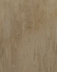 close-up of a textured beige surface