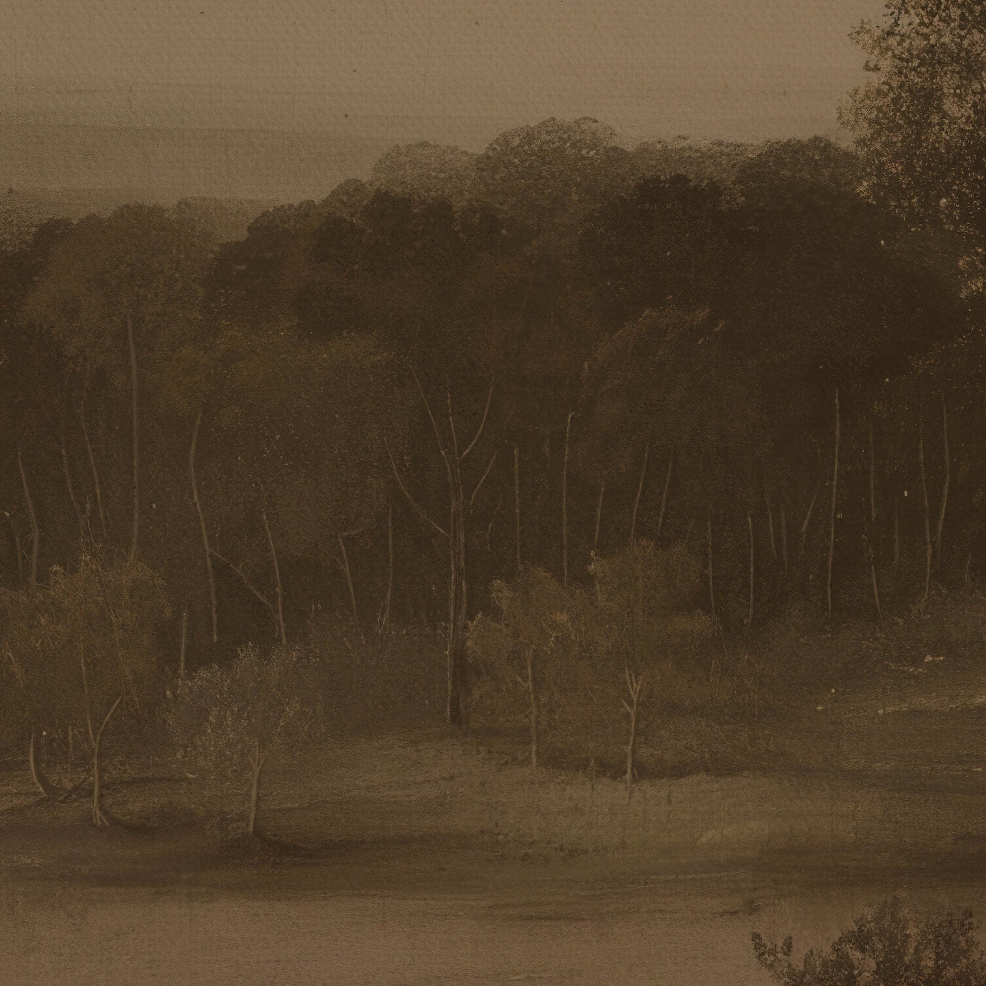 Sepia-toned landscape with trees and a field