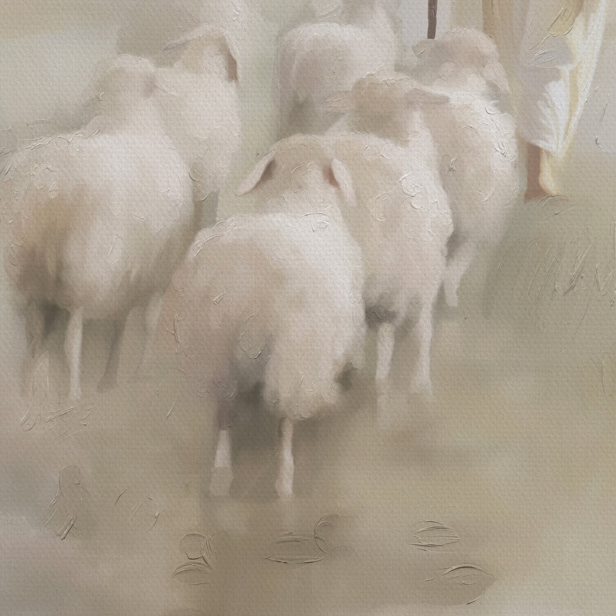 Sheep walking together on a misty path
