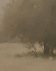 misty landscape with trees and a path in sepia tones