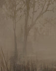 silhouette of a tree with a textured brown background