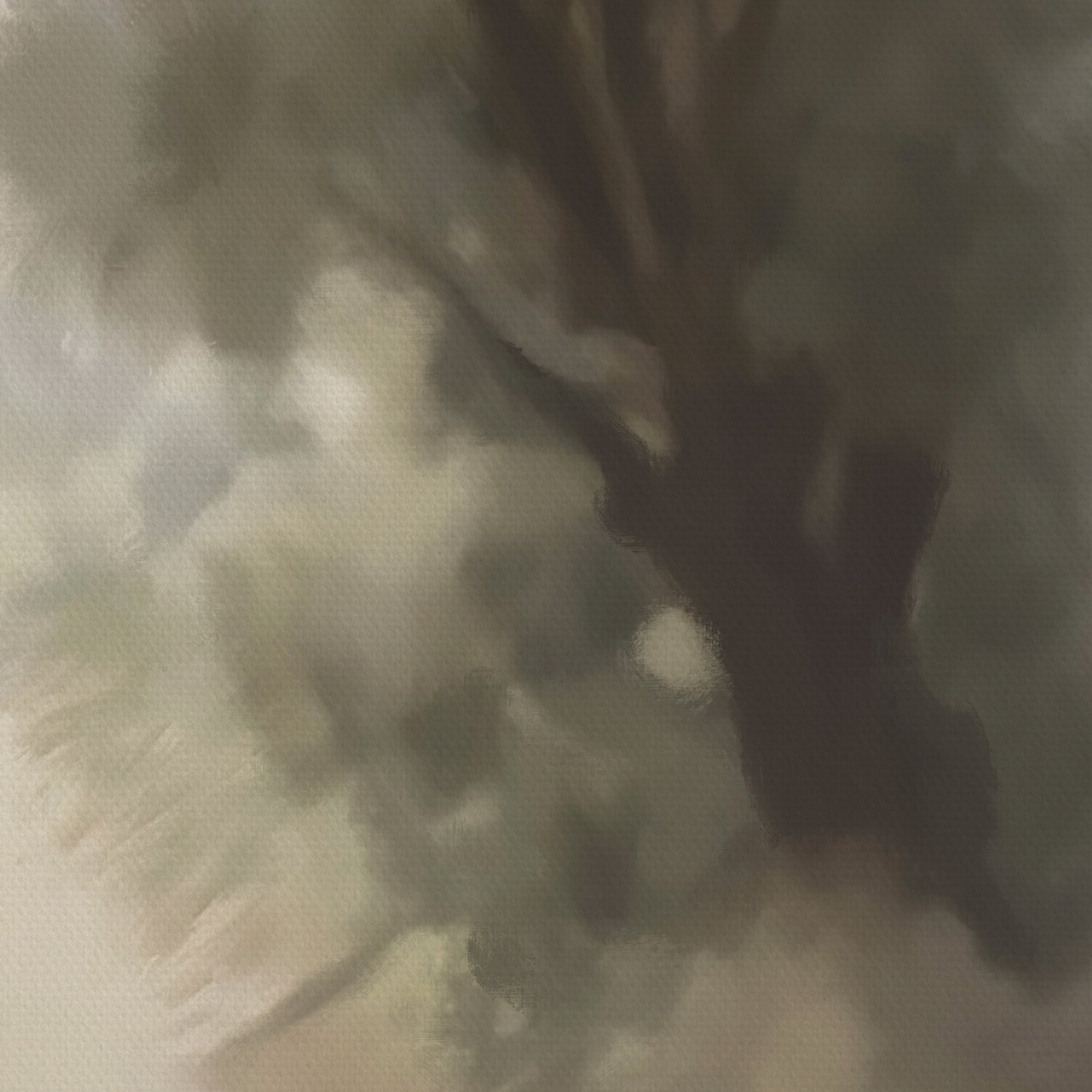 Detail of a tree in a natural setting