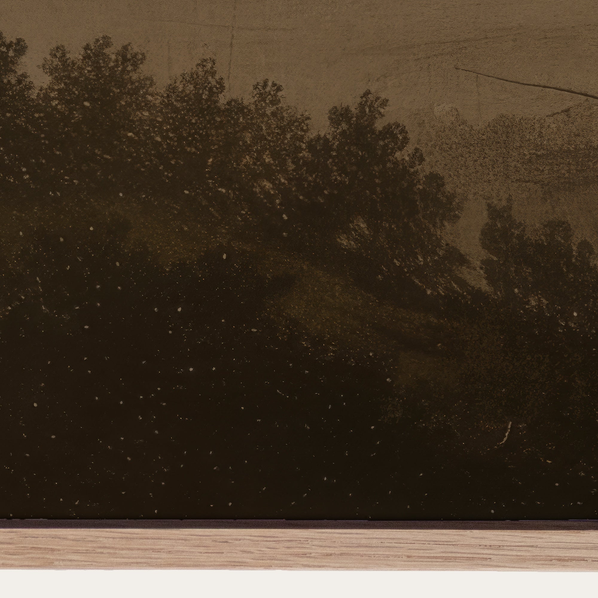 Sepia-toned landscape with trees and a field, possibly from an old photograph or painting. 