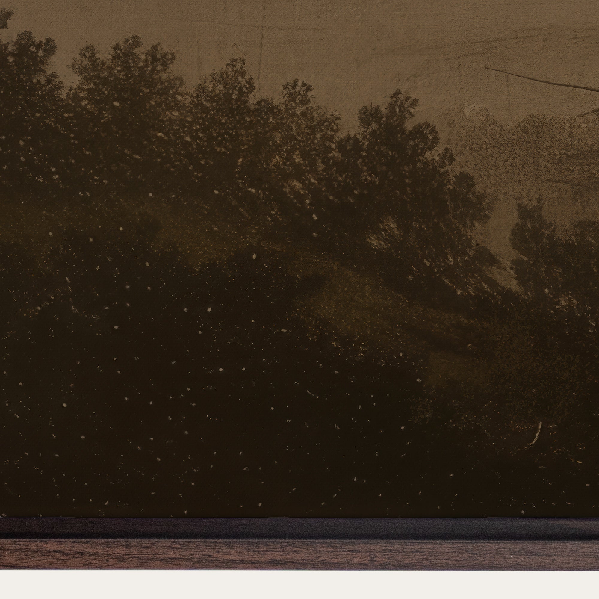 Starry night sky over a forest with a dark brown color tone. 