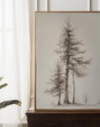 Pines Study II