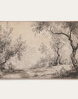 landscape drawing with trees and a path on a plain background 