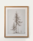 Pines Study II