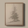 European Pine Study II