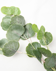 Faux Cotinus Leaf Spray